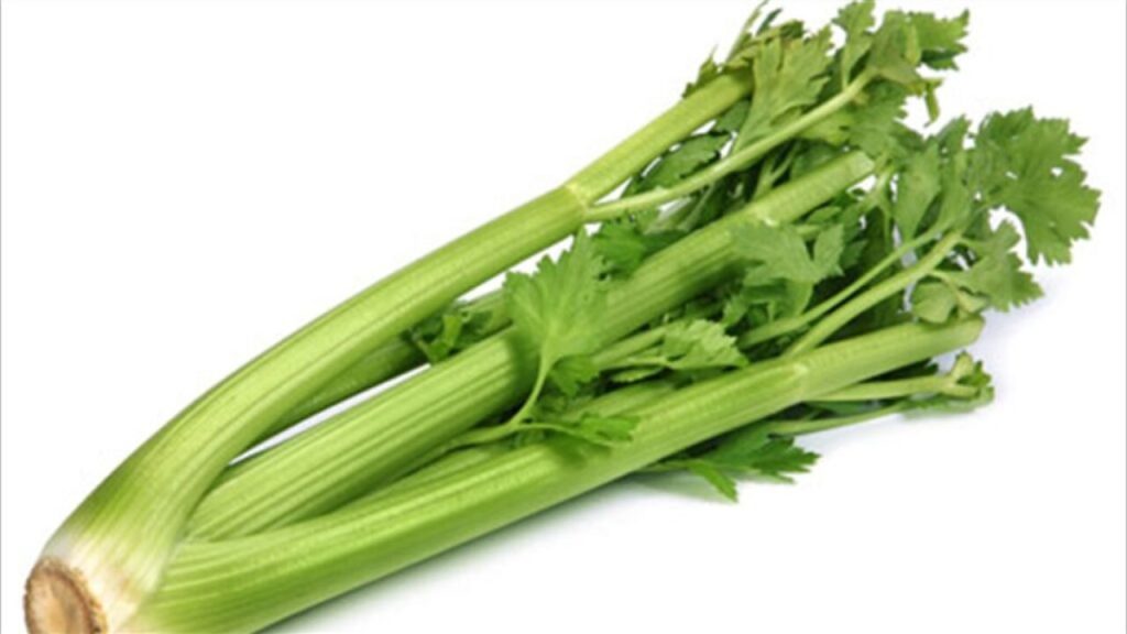 Δείτε για ποιο λόγο οι άνδρες πρέπει να καταναλώνουν συχνά σέλερι (βίντεο)