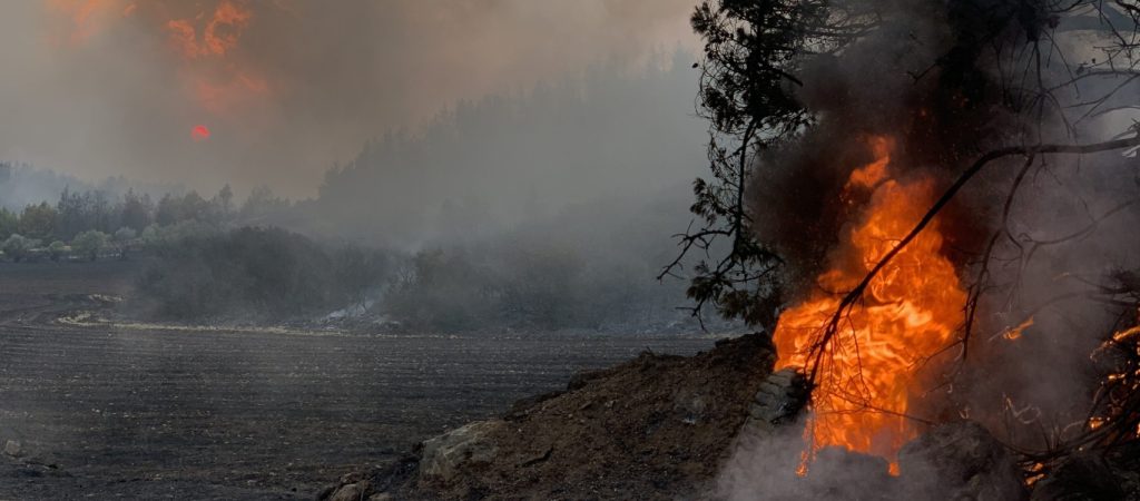 Φωτιές στην Ελλάδα: Στις 527 αυτοψίες οι πυρόπληκτες περιοχές – Στις 112 οι επικίνδυνες κατοικίες