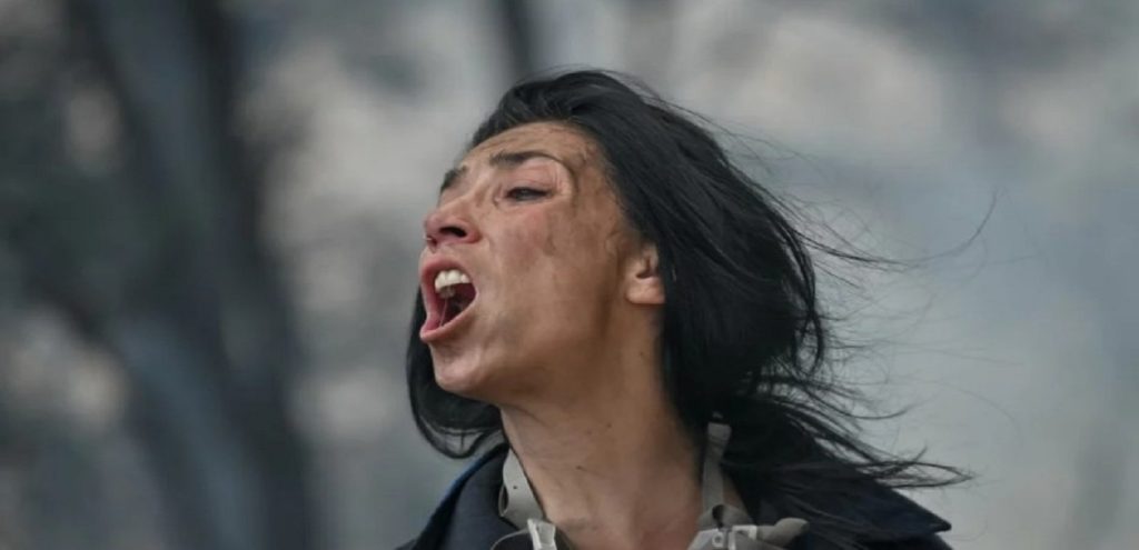 Εθελόντρια Κατερίνα Ιωαννίδου για φωτιές: «Είδα τον θάνατο κατάματα»