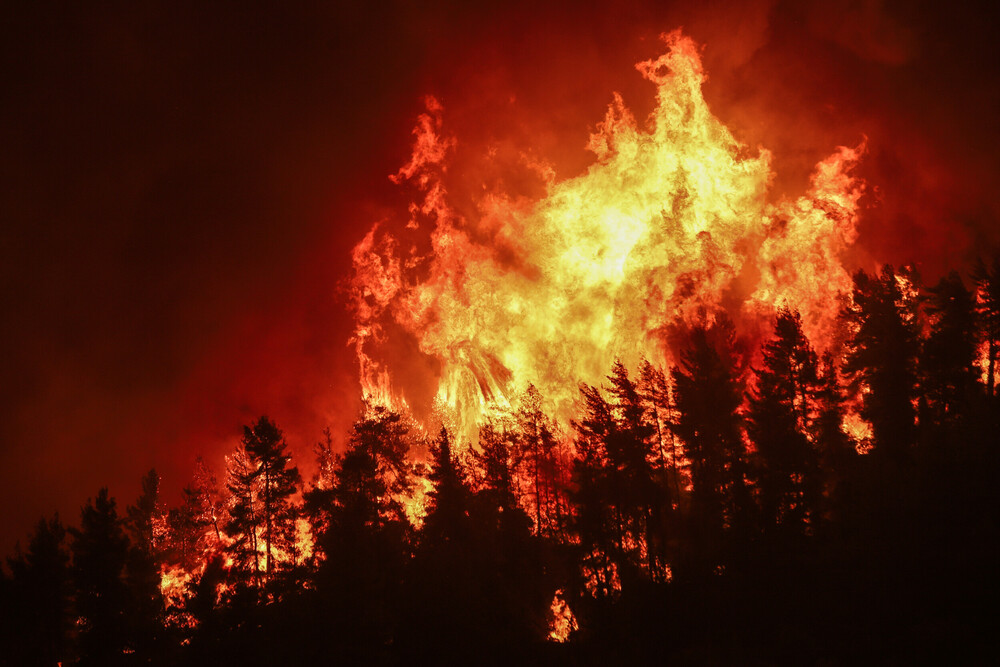 Συνεχείς αναζωπυρώσεις στην Εύβοια από τον Άγιο Νικόλαο μέχρι το Πευκί: Η φωτιά καίει ό,τι απέμεινε