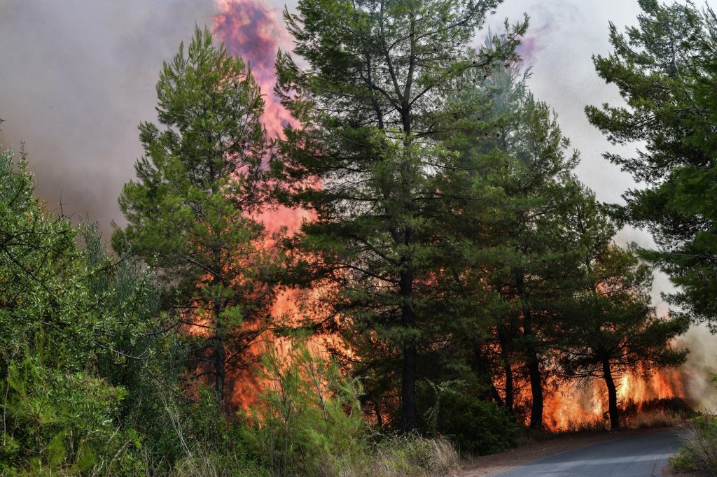 Εύβοια και Γορτυνία: Περιμένουν από… τη βροχή να σβήσει τις φωτιές – Φόβος για πλημμύρες