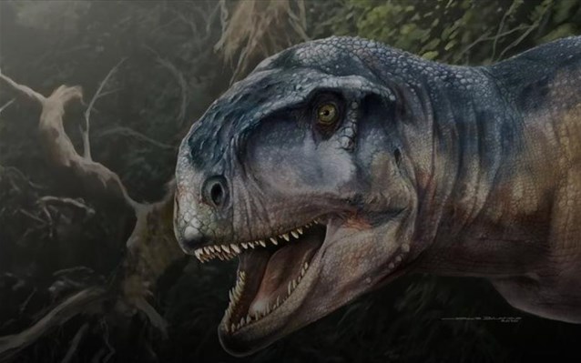 Κίνα: Επιστήμονες ανακάλυψαν δεινόσαυρους στο μέγεθος της γαλάζιας φάλαινας