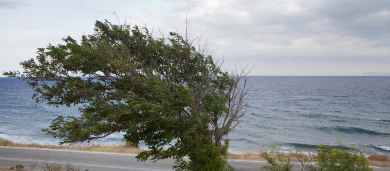 Ισχυροί άνεμοι σήμερα στο μεγαλύτερο μέρος της χώρας – Έως 111χλμ. ριπές στη Τήνο (φώτο)