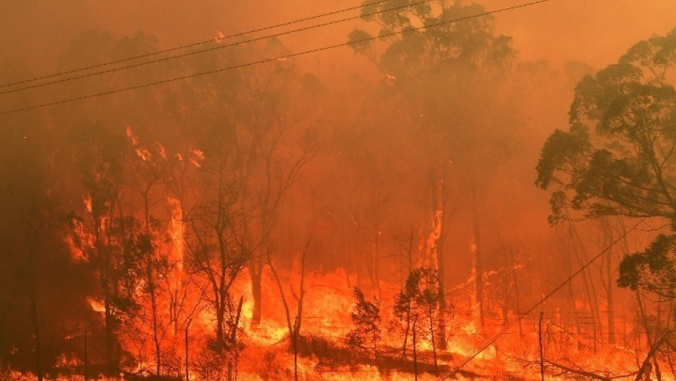 Η Ιταλία είναι η ευρωπαϊκή χώρα που υπέστη τις μεγαλύτερες καταστροφές από τις δασικές πυρκαγιές το 2021