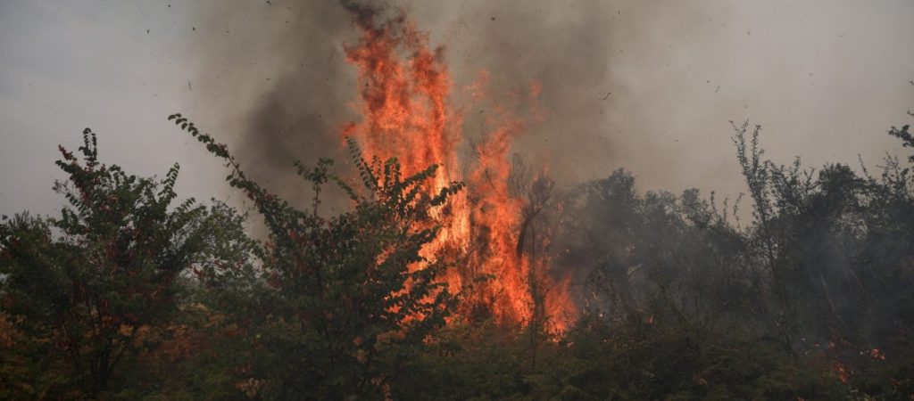 Φωτιά στα Βίλια: Δείτε σε ποιους δρόμους έχει διακοπεί η κυκλοφορία