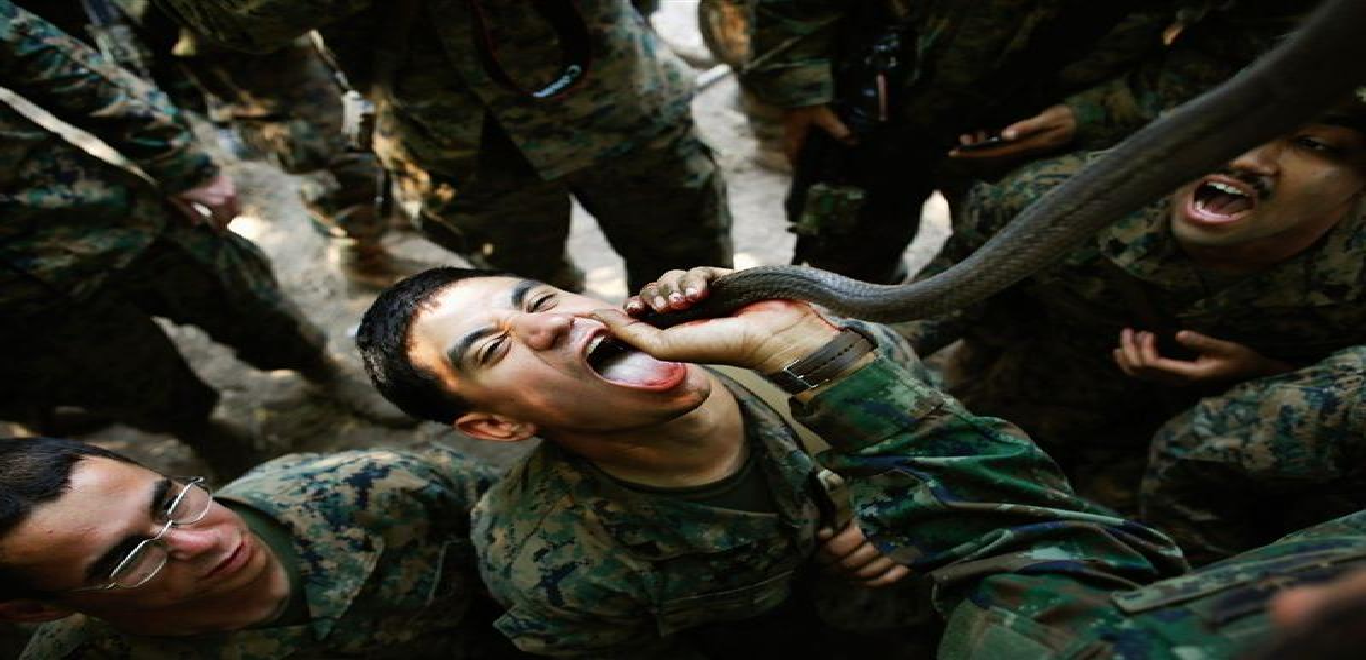 Οι Αμερικανοί στρατιώτες δεν θα πίνουν πια αίμα κόμπρας – Αφαιρείται από το πρόγραμμα ασκήσεων 40 χρόνια μετά! (βίντεο)