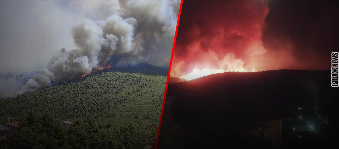 «Η φωτιά στα Βίλια θα μπορούσε να σβήσει σε 20 λεπτά»! – Βίντεο ντοκουμέντο εκθέτει την κυβέρνηση
