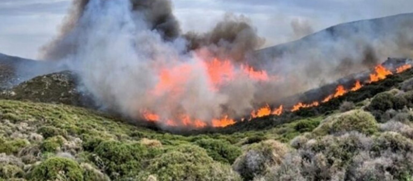 Αντιπεριφερειάρχης Αττικής Ν.Πέππας για φωτιά στα Βίλια: «Τεράστιο μέτωπο 20 χιλιομέτρων»