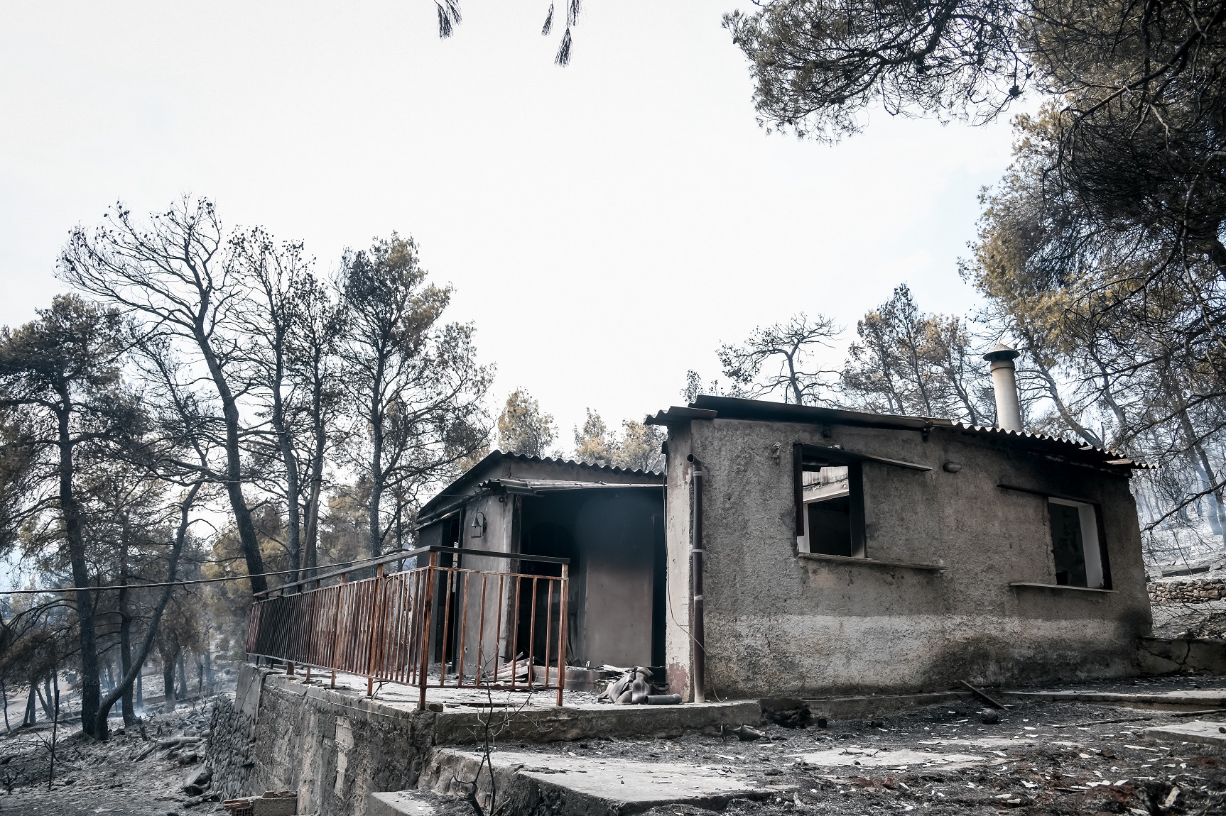 Τους έκαψαν σπίτια και ψυχές: Εικόνες καταστροφής στα Βίλια – Τα λάθη της κυβέρνησης για την αποτέφρωση της Ελλάδας