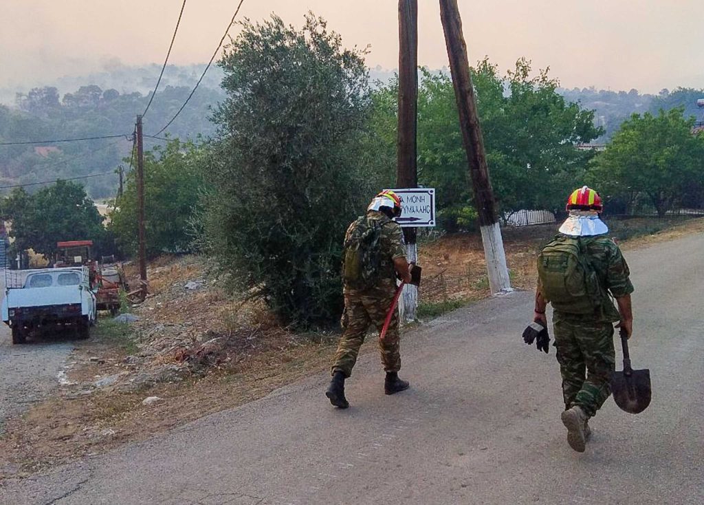 Αφού κάηκε η Ελλάδα τώρα η κυβέρνηση αποφάσισε να ξεκινήσουν περιπολίες στα δάση!