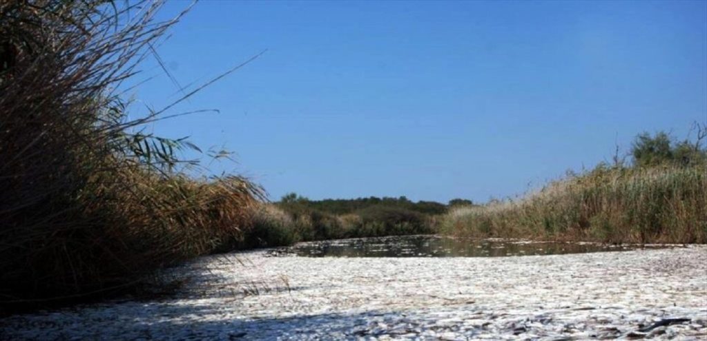 Συναγερμός στις Σέρρες: 52χρονη γυναίκα εγκλωβίστηκε σε κανάλι