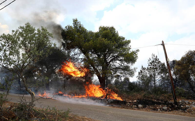 Κρήτη: Xειροπέδες σε 90χρονο που έβαλε φωτιά σε χωριό του Ηρακλείου