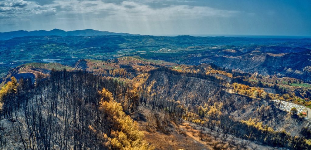 Μαύρο τοπίο στη Βόρεια Εύβοια: Αποκαρδιωτικές εικόνες – 1,2 εκατ. στρέμματα καμένα σε όλη την Ελλάδα! (βίντεο-φώτο)