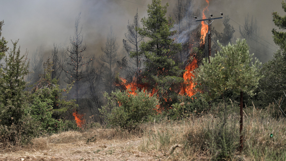 Καλύτερη η κατάσταση της πυρκαγιάς στο Μετόχι Καρύστου – Επιχειρούν 35 πυροσβέστες