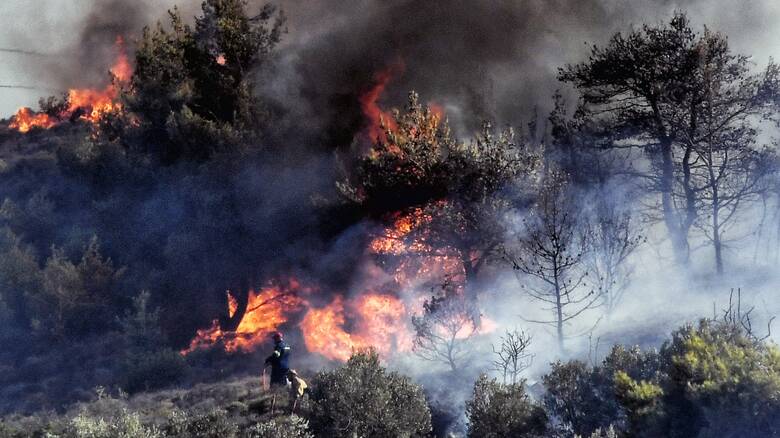 Υψηλός κίνδυνος πυρκαγιάς για αύριο σε πέντε περιφέρειες – Δείτε ποιες είναι