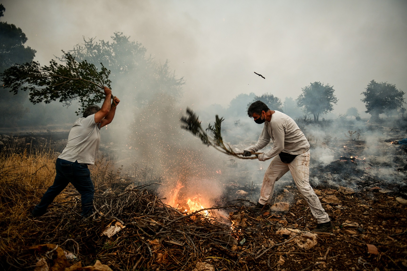 «Εκκενώστε τα Βίλια»! – Καίγονται για 8η μέρα και η κυβέρνηση στέλνει… SMS – Καίγονται σπίτια
