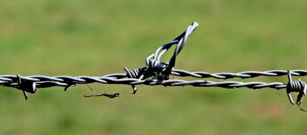 Η Πολωνία «χτίζει» φράχτη ύψους 2,5 μέτρων στα σύνορα με τη Λευκορωσία – Στόχος να σταματήσουν οι μεταναστευτικές ροές