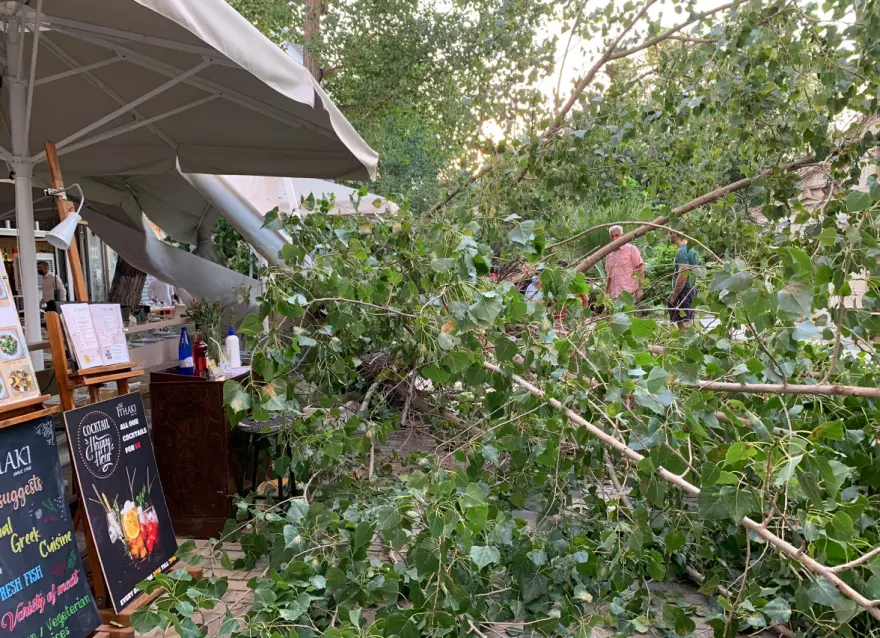 Πτώση δέντρου σε εστιατόριο στο κέντρο της Αθήνας την ώρα που δειπνούσαν Πάιατ και Μενέντεζ (φωτο)