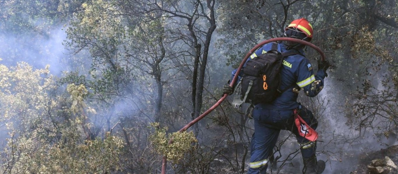 Εκτός ελέγχου η φωτιά στα Τρίκαλα – Δέντρα τυλίχτηκαν στις φλόγες