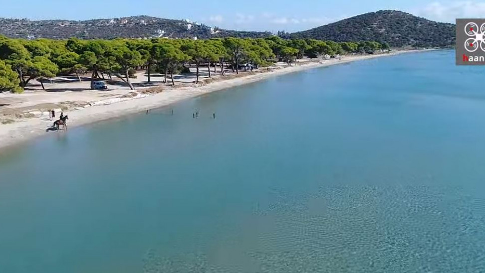 Εντοπίστηκε όλμος του Β’ Παγκοσμίου Πολέμου στην παραλία Σχινιά (βίντεο)