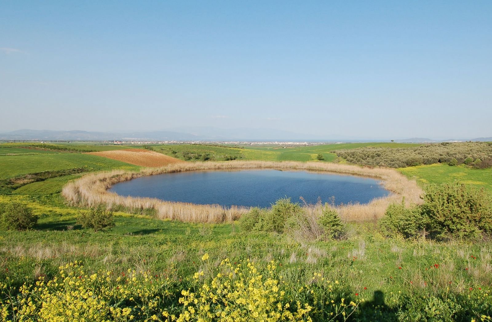 Βόλος: Οι δύο ολοστρόγγυλες λίμνες Ζερέλια που μόνο οι ντόπιοι γνωρίζουν (βίντεο)