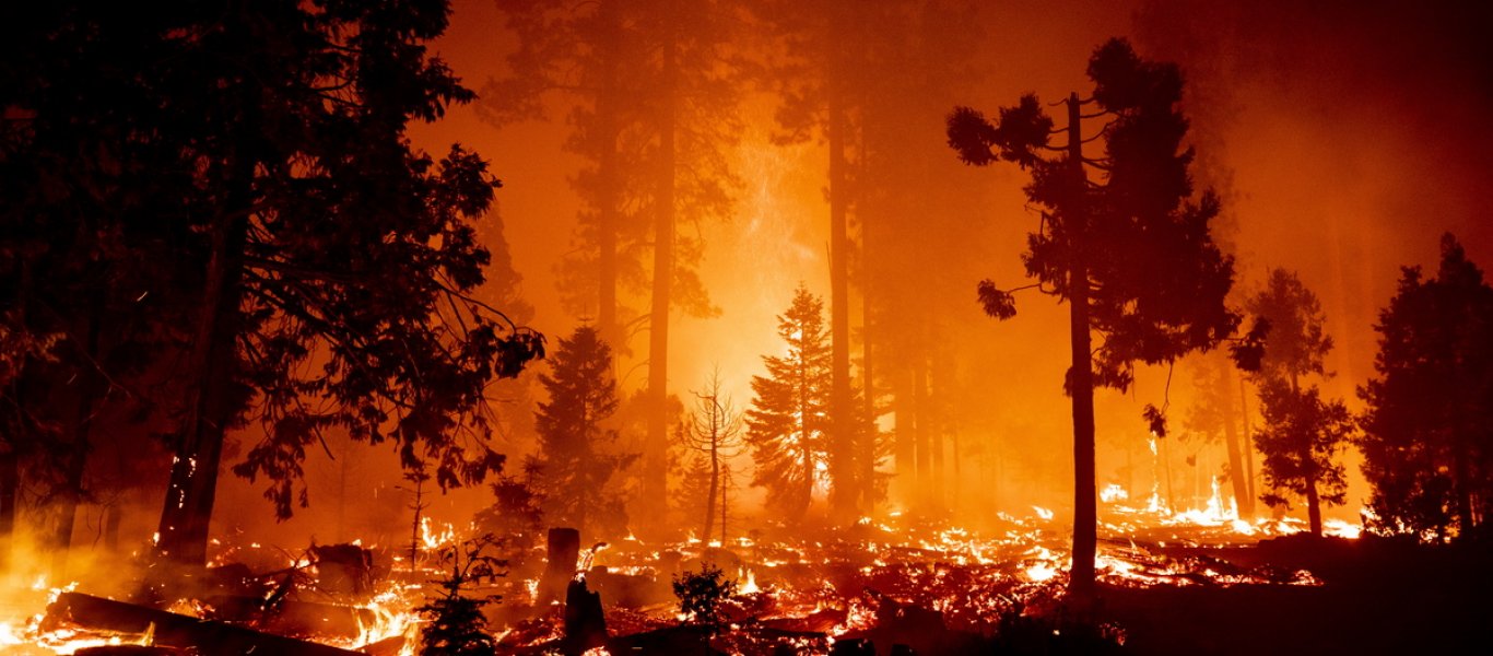 Ανεξέλεγκτη η φωτιά στην Καλιφόρνια – Εκκενώνονται περιοχές κοντά στη Λίμνη Τάχο (βίντεο)