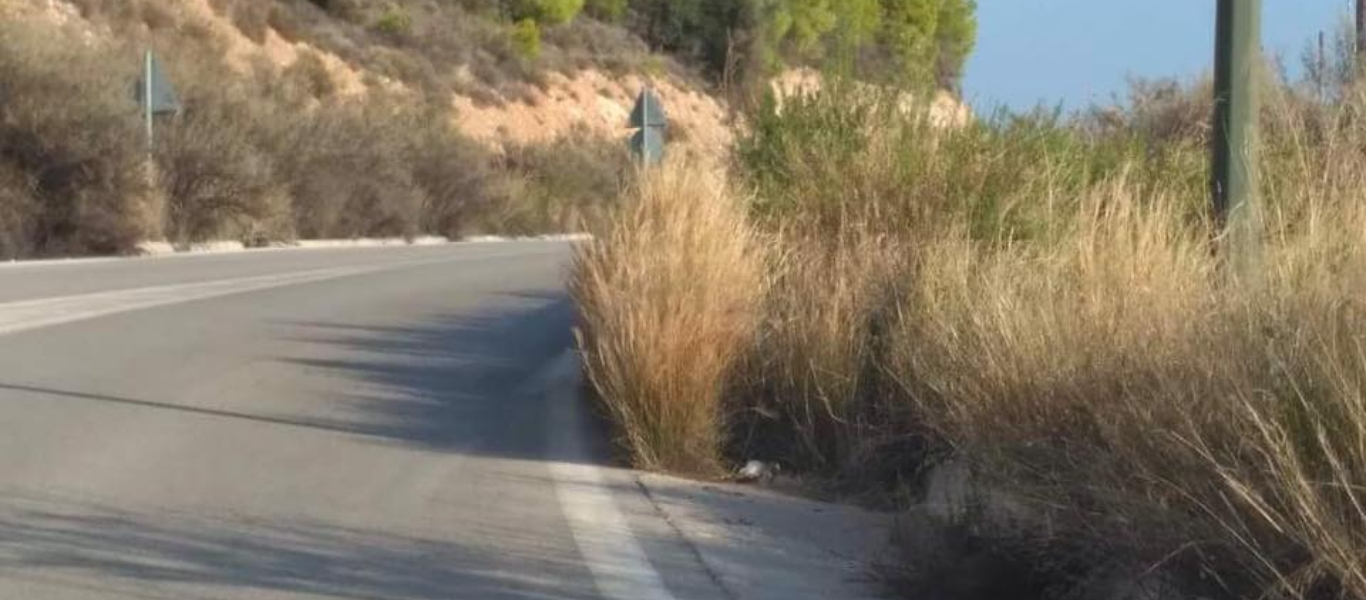 Νεκρός 23χρονος οδηγός μηχανής στο Λουτράκι – Έπεσε σε γκρεμό 30 μέτρων