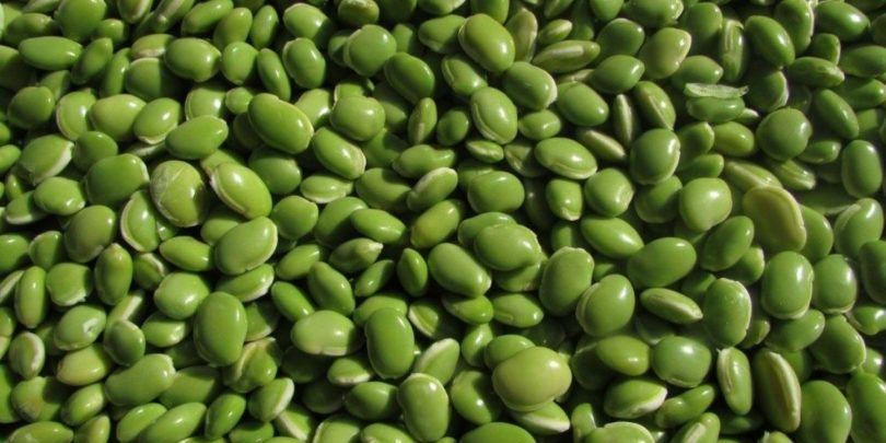 Ροβίτσα: Το άγνωστο όσπριο με τα θρεπτικά οφέλη για την υγεία