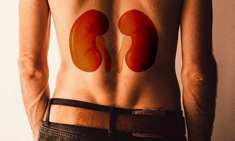 Νεφρά: Πως να παραμείνουν υγιή και καθαρά τα φίλτρα του οργανισμού