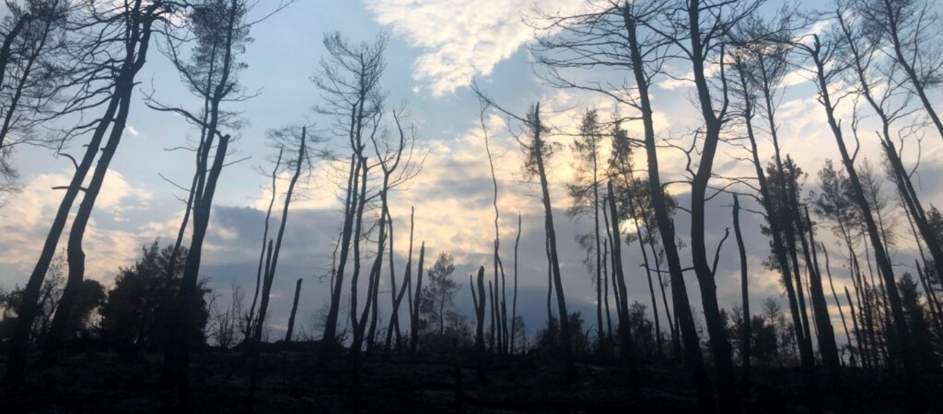 Εικόνες που «κόβουν την ανάσα» – Η Εύβοια από ψηλά ένα μήνα μετά τις καταστροφικές πυρκαγιές (βίντεο)