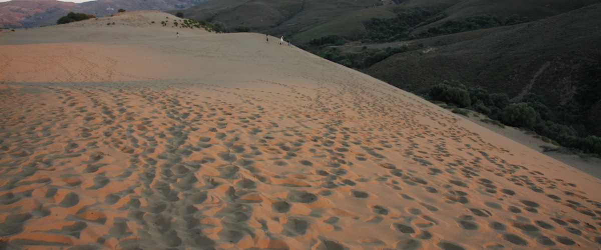 Μαραθωνοδρόμος χάθηκε στη Σαχάρα και για να επιβιώσει έπινε τα… ούρα του και αίμα νυχτερίδων!