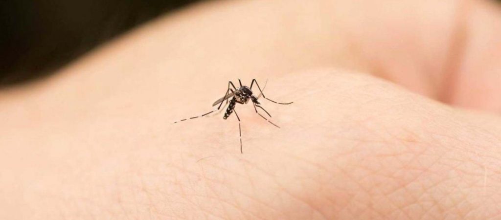 Θεσσαλονίκη: Εντοπίστηκε κρούσμα του ιού του Δυτικού Νείλου