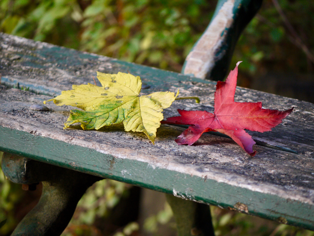 Αυτά είναι τα τρία ζώδια που θα περάσουν δύσκολα το φθινόπωρο