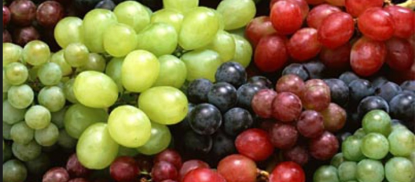 Αυτά είναι τα οφέλη που έχει το σταφύλι – Πώς θα το διαλέξουμε;