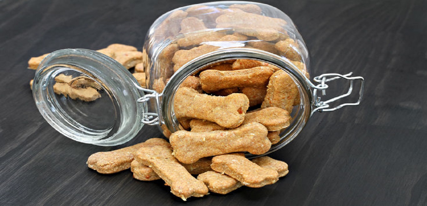 Λαίμαργη γιαγιά καταβρόχθισε μπισκότα… σκύλου κατά λάθος! (βίντεο)