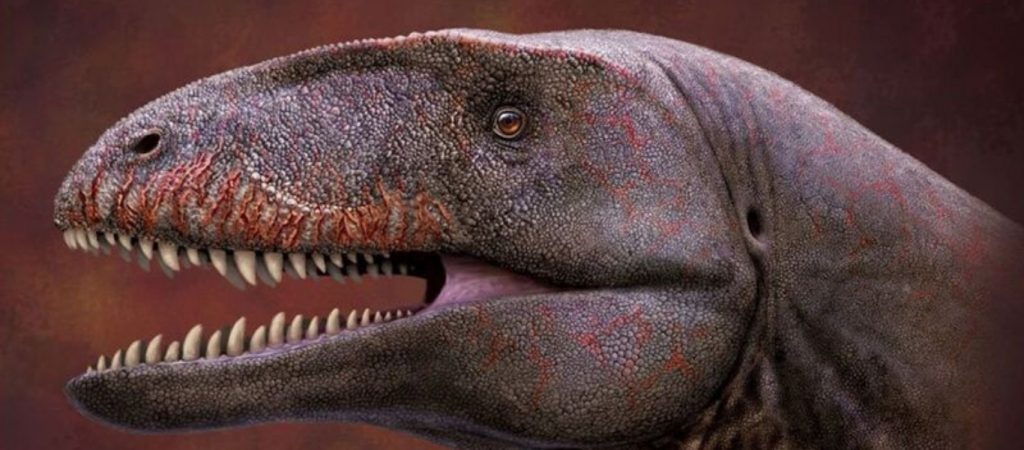 Ανακαλύφθηκε σαρκοφάγος δεινόσαυρος δύο φορές μεγαλύτερος από τους τυραννόσαυρους της εποχής