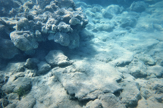 Υποβρύχια έρευνα στον κόλπο Παλαικάστρου Σητείας με εντυπωσιακά ευρήματα