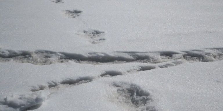 Θιβέτ: Επιστήμονες ανακάλυψαν «γκράφιτι» από πατημασιές και παλάμες σε πετρώματα ηλικίας έως 226.000 ετών