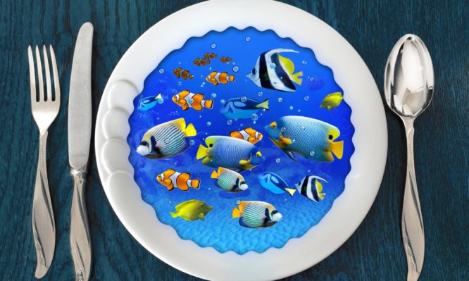 Μπλε Επανάσταση: Τι είναι και πως υπόσχεται να λύσει το πρόβλημα του υποσιτισμού;