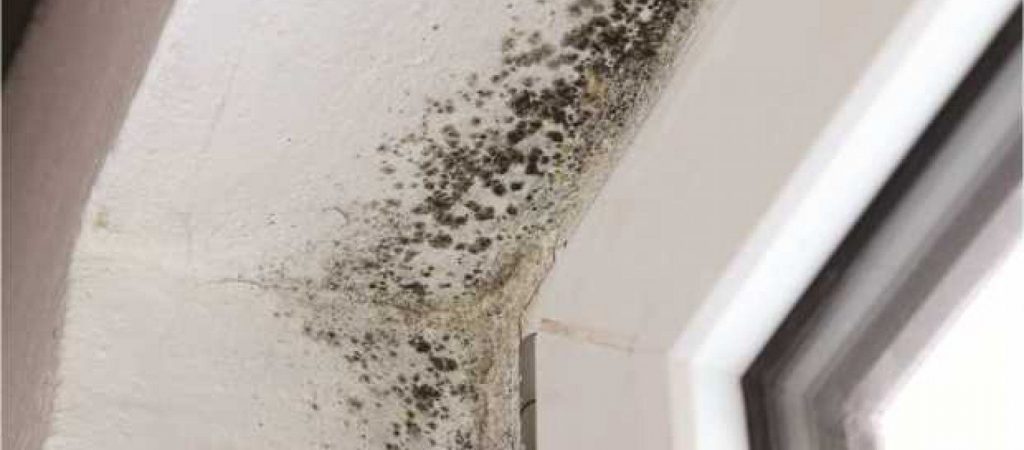 Έχετε στο σπίτι σας υγρασία; – Το κόλπο για να την εξαφανίσετε
