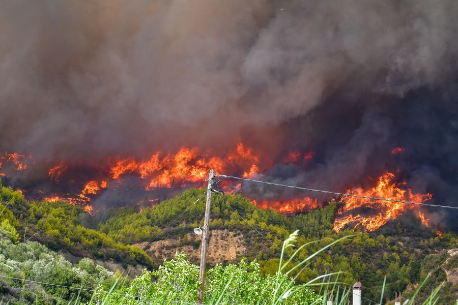 Φωτιά στην Κεντρική Εύβοια στο όρος Δίρφυς στο χωριό Καμπιά