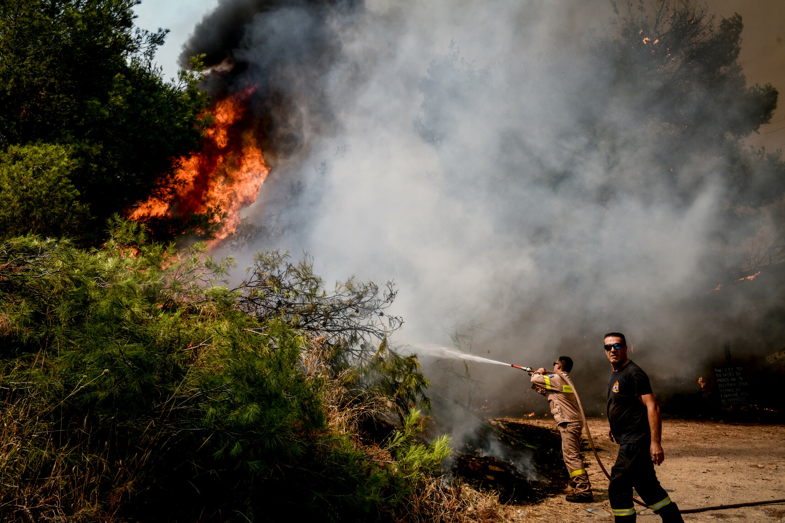 Κρήτη: Πυρκαγιά πολύ κοντά στο δάσος της Κέρης στο Ηράκλειο