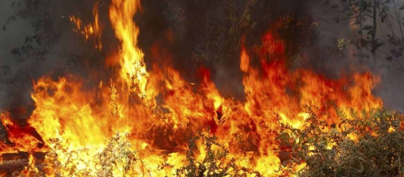 Μεγάλη φωτιά στην Πάφο της Κύπρου – Εκκενώνονται σπίτια