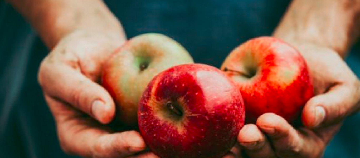 Δείτε τα οφέλη που έχουν για την υγεία τα μήλα