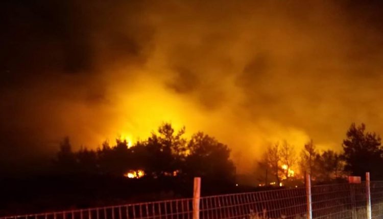 Νέα Μάκρη: Χωρίς ενεργό μέτωπο η πυρκαγιά – Η «μάχη» δίνεται σε μικρές διάσπαρτες εστίες