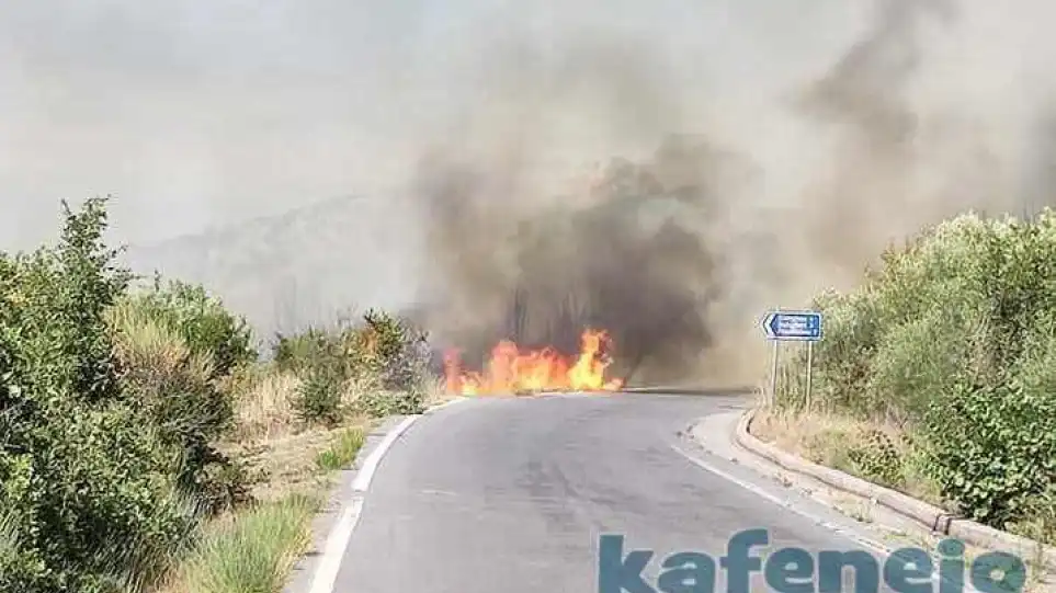 Φωτιά στην Αρκαδία: Σε ύφεση το πύρινο μέτωπο – Με εγκαύματα στο νοσοκομείο ο αντιδήμαρχος Μεγαλόπολης