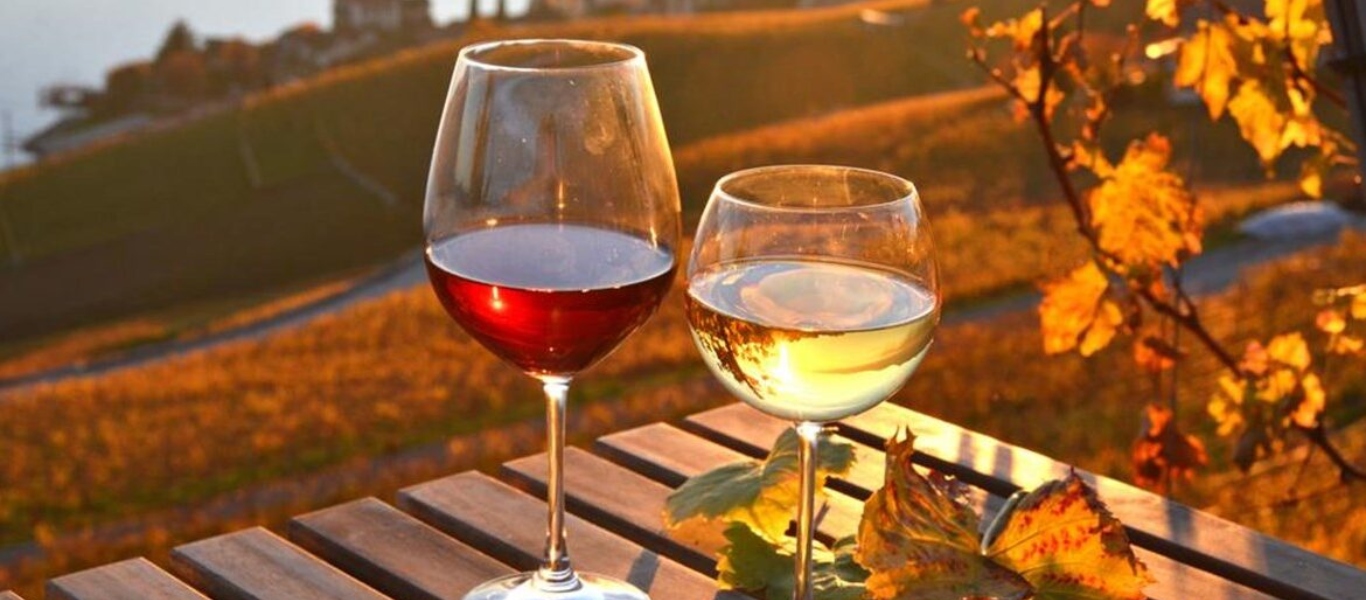 Τα 4 βασικά λάθη που κάνουν όσοι λατρεύουν να πίνουν κρασί