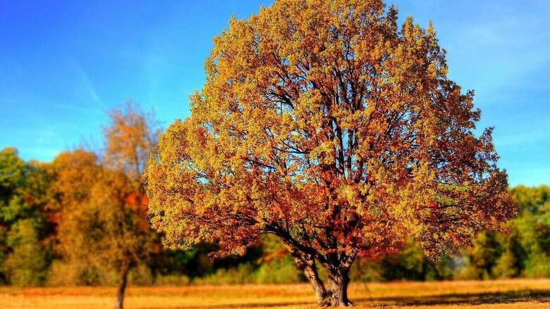 Αυτά είναι τα τέσσερα ζώδια που θα επηρεαστούν περισσότερο από τη φθινοπωρινή ισημερία