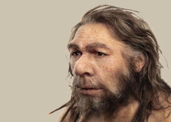 Αμερικανοί επιστήμονες υποστηρίζουν ότι καταλήξαμε χωρίς ουρά λόγω μίας μοναδικής γενετικής μετάλλαξης