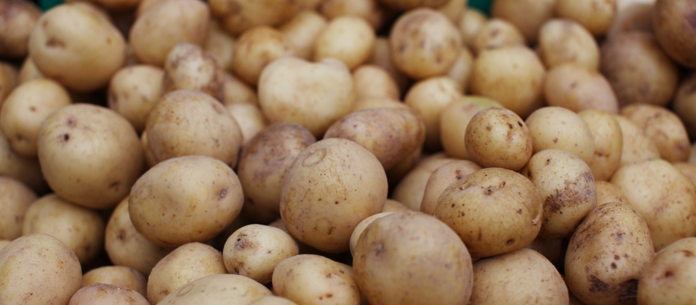 Το εύκολο μυστικό για να διατηρήσετε φρέσκες περισσότερο τις πατάτες σας
